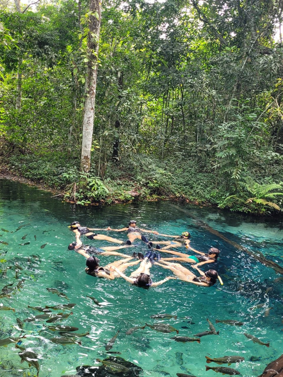 CHAPADA DOS VEADEIROS